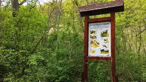 Csodabogyó tanösvény kilátója